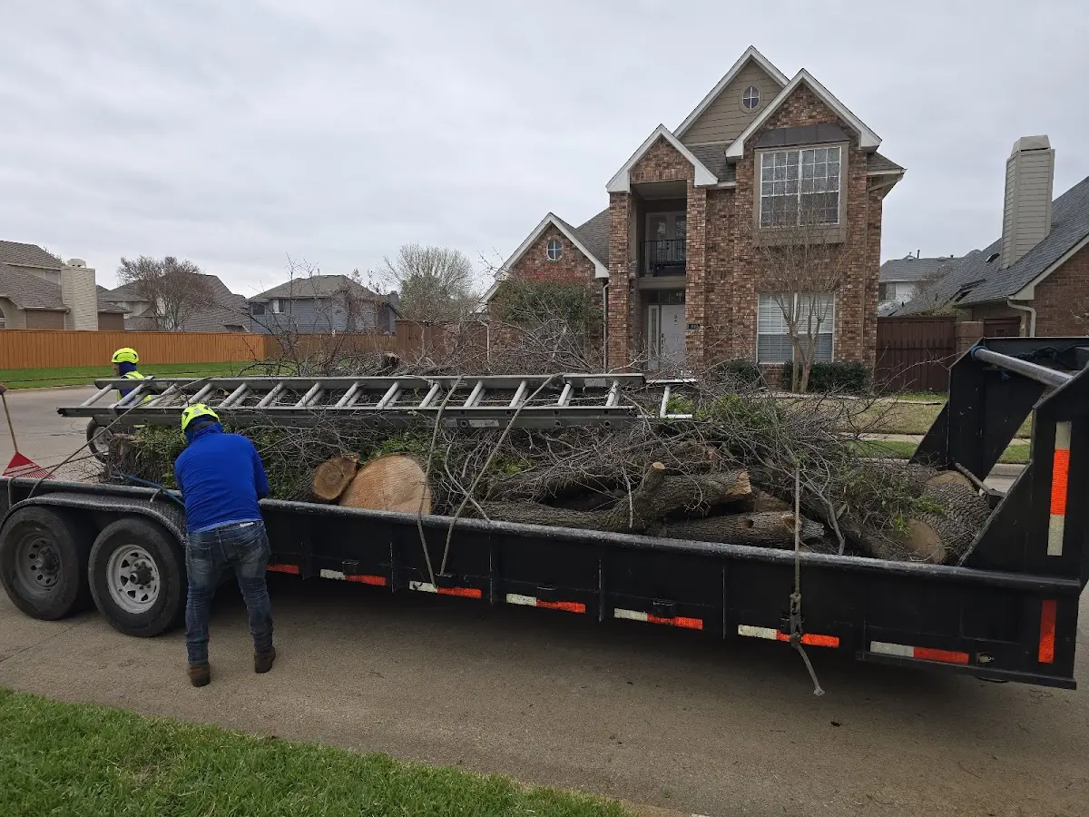 Expert Tree Removal with proper safety equipment in Melvin Village